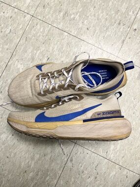 Nike invincible run 3